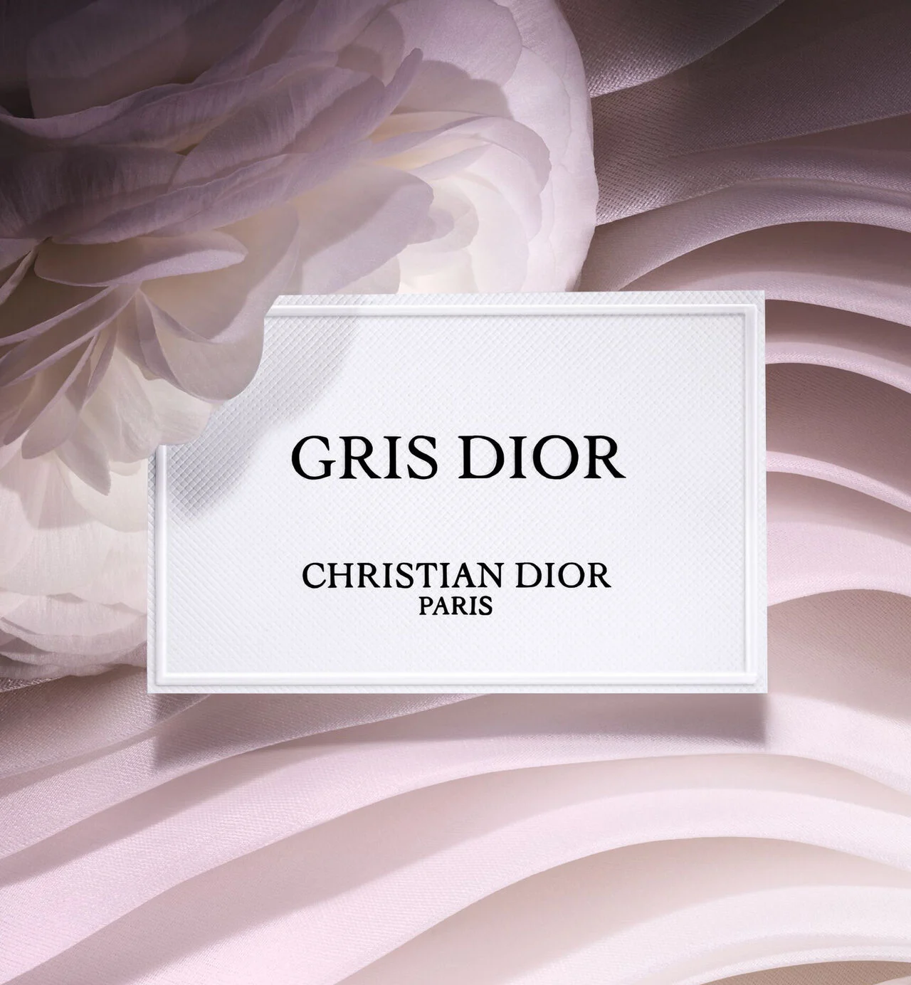 Gris Dior 100ml