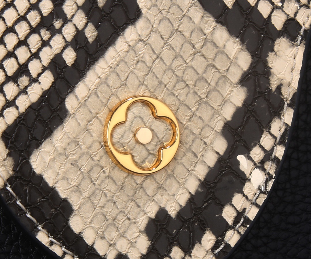 Sac Louis Vuitton