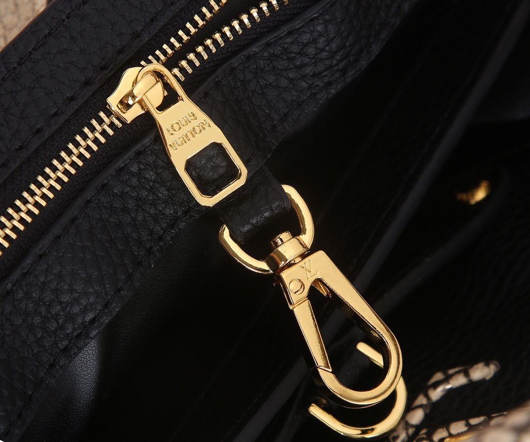 Sac Louis Vuitton