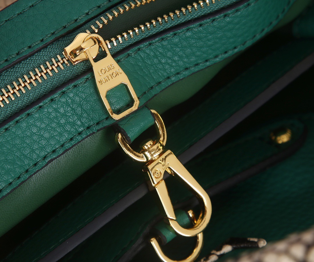 Sac Louis Vuitton
