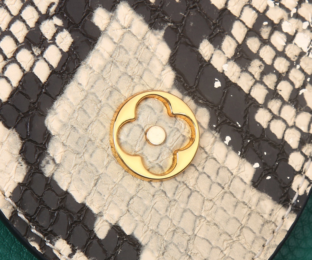Sac Louis Vuitton