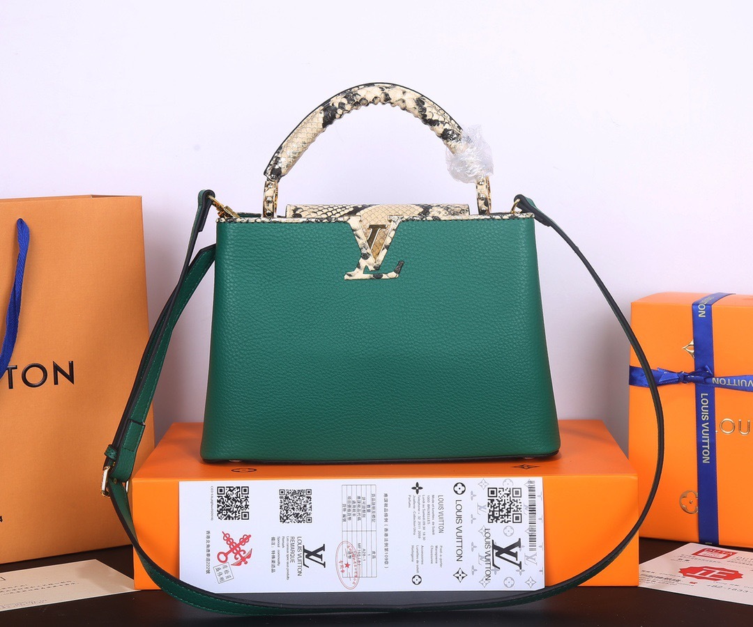 Sac Louis Vuitton