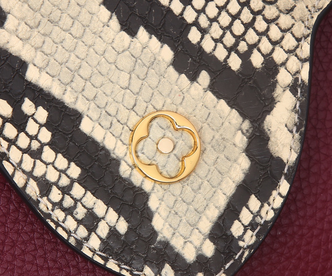 Sac Louis Vuitton