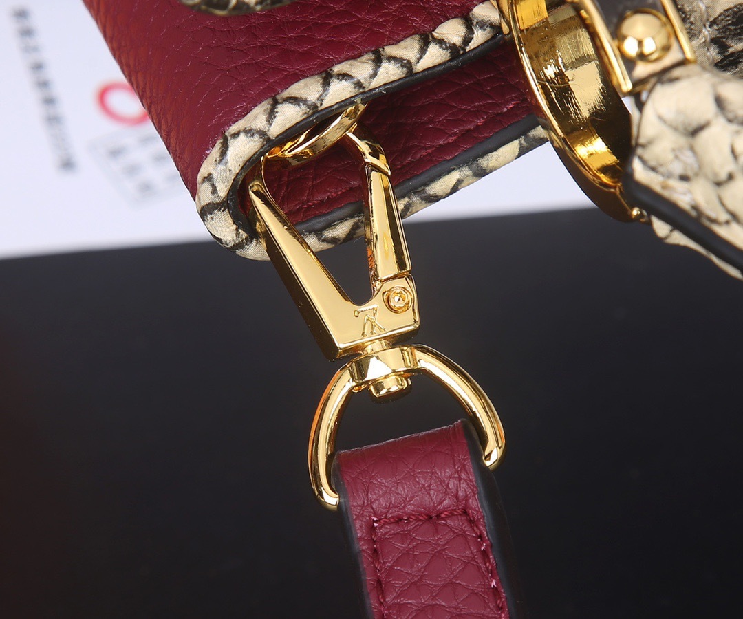 Sac Louis Vuitton