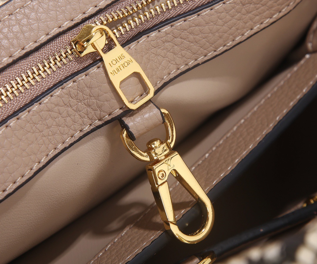 Sac Louis Vuitton