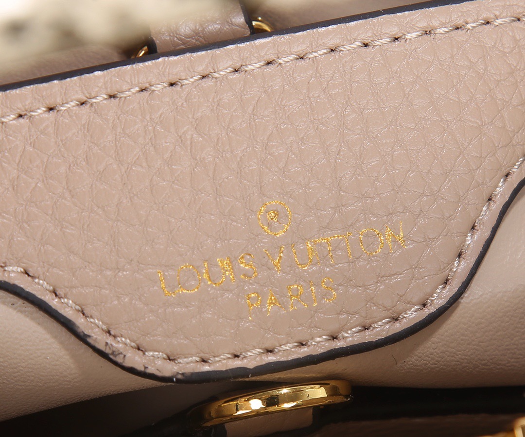 Sac Louis Vuitton