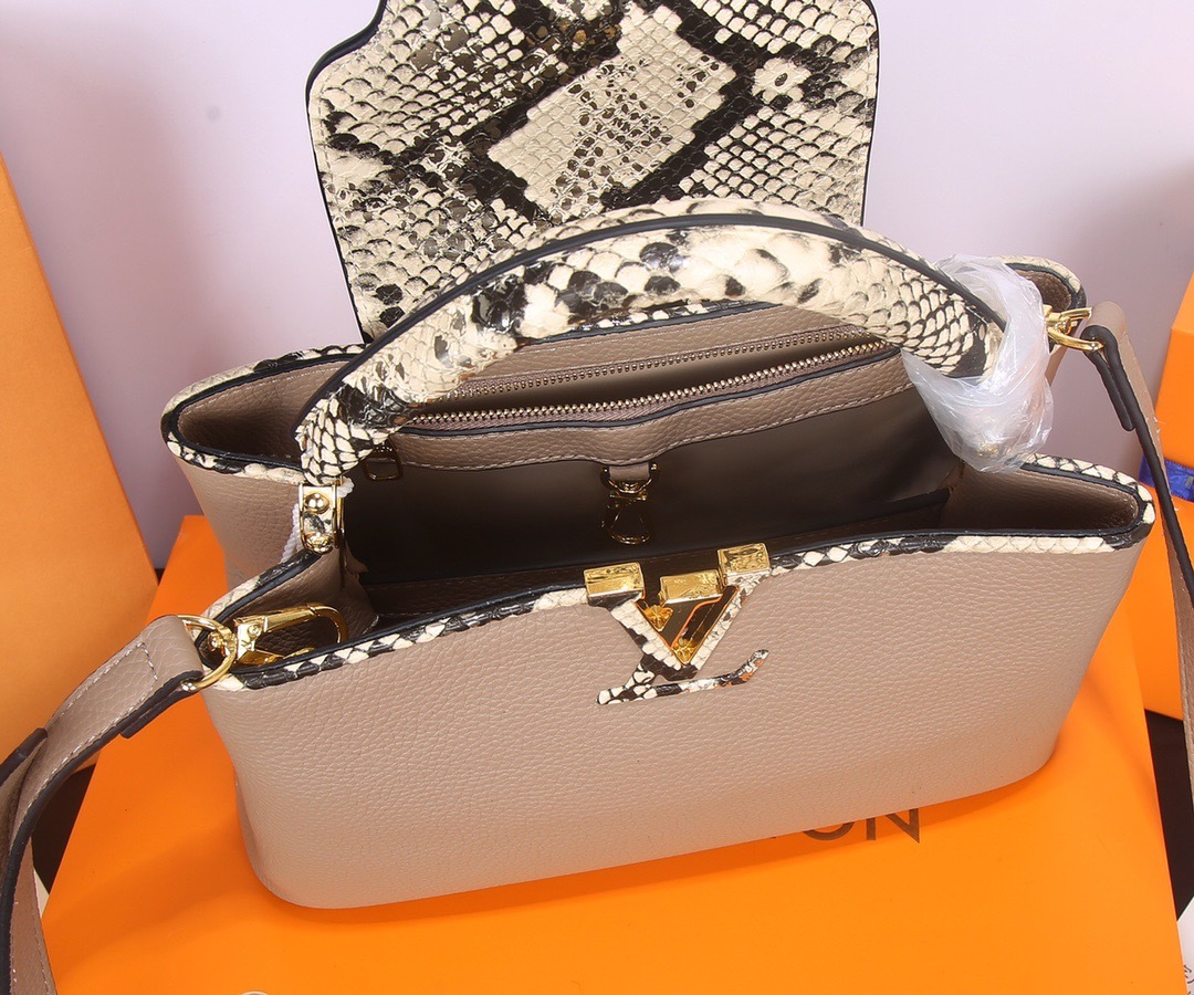 Sac Louis Vuitton