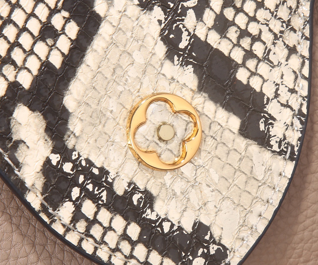 Sac Louis Vuitton