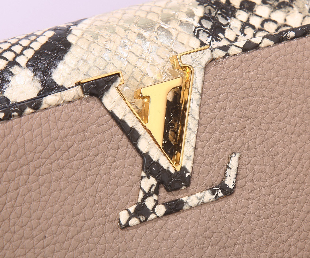 Sac Louis Vuitton