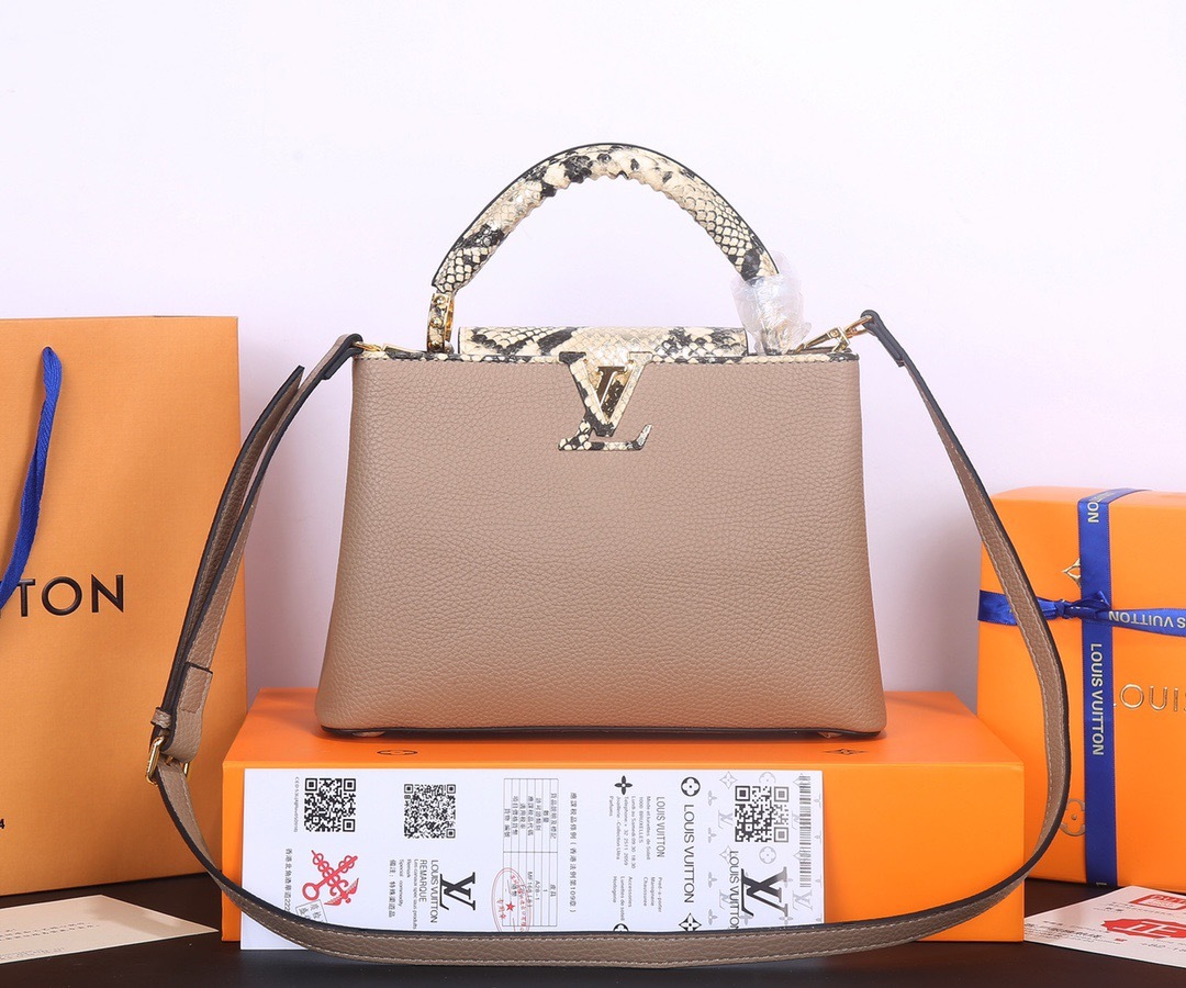 Sac Louis Vuitton