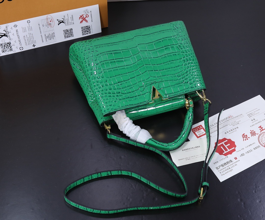 Sac Louis Vuitton