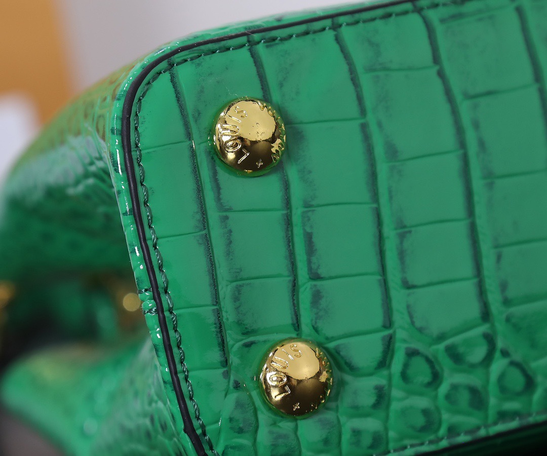 Sac Louis Vuitton