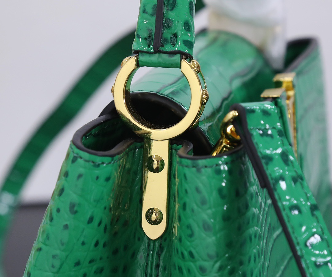 Sac Louis Vuitton
