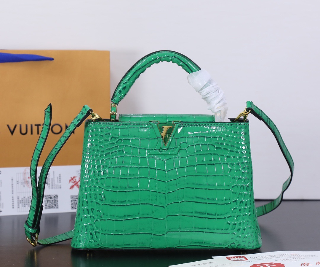 Sac Louis Vuitton