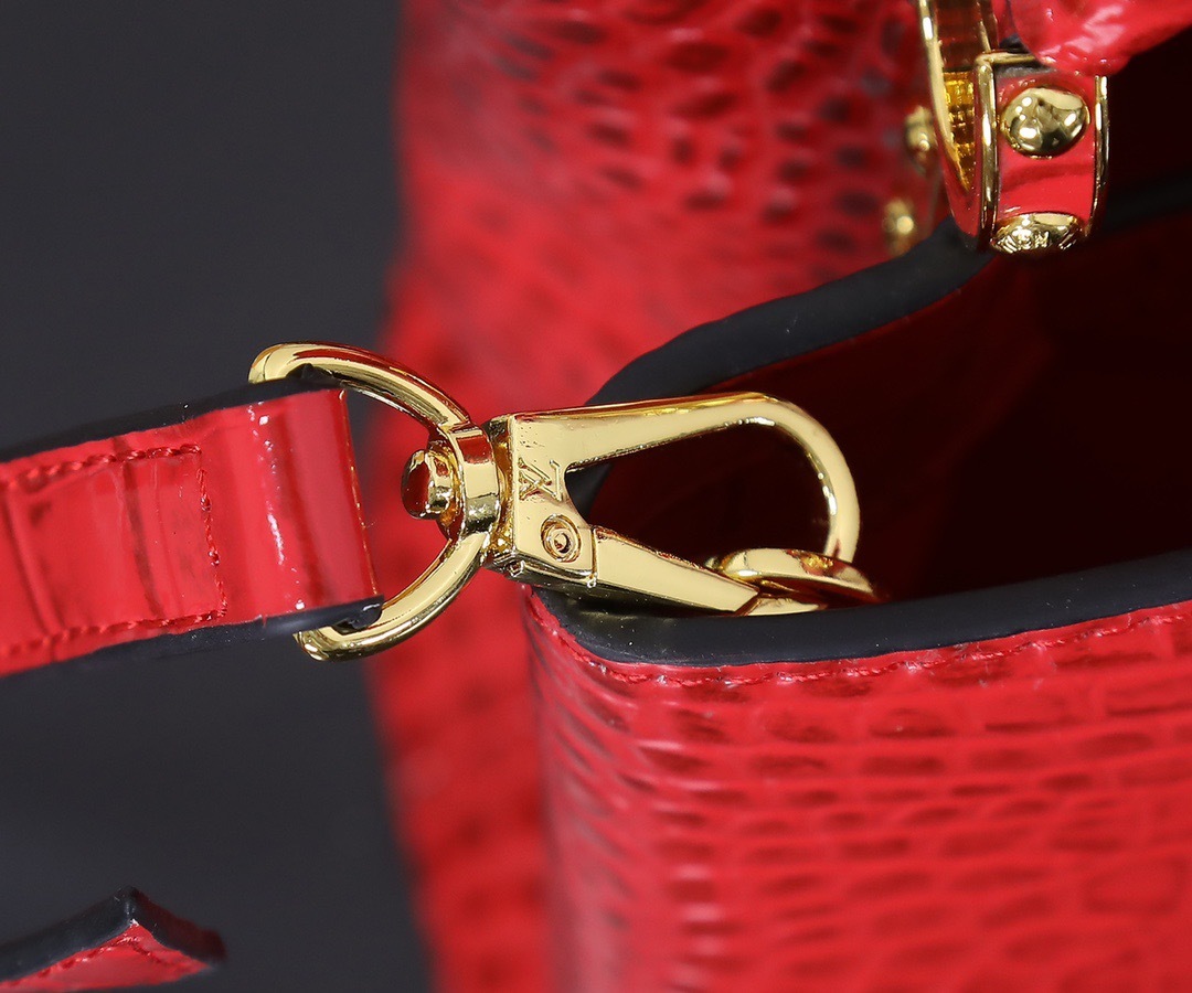 Sac Louis Vuitton