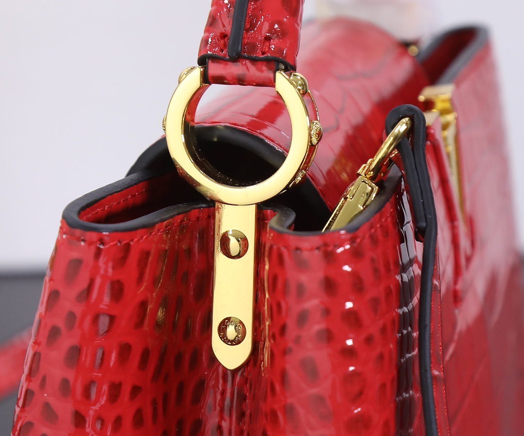Sac Louis Vuitton