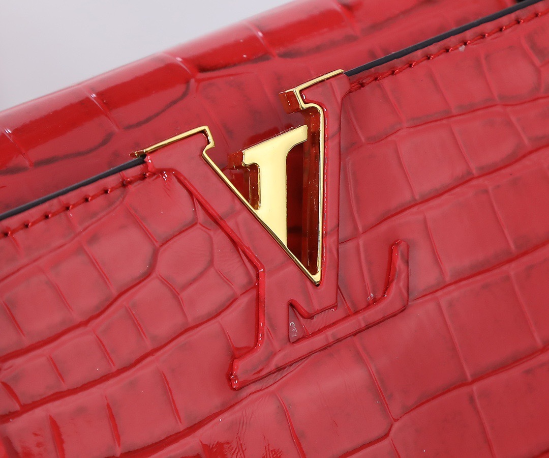 Sac Louis Vuitton