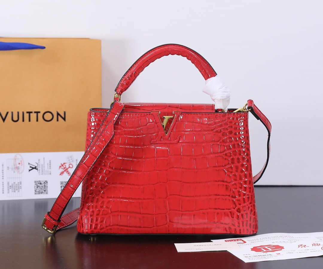 Sac Louis Vuitton