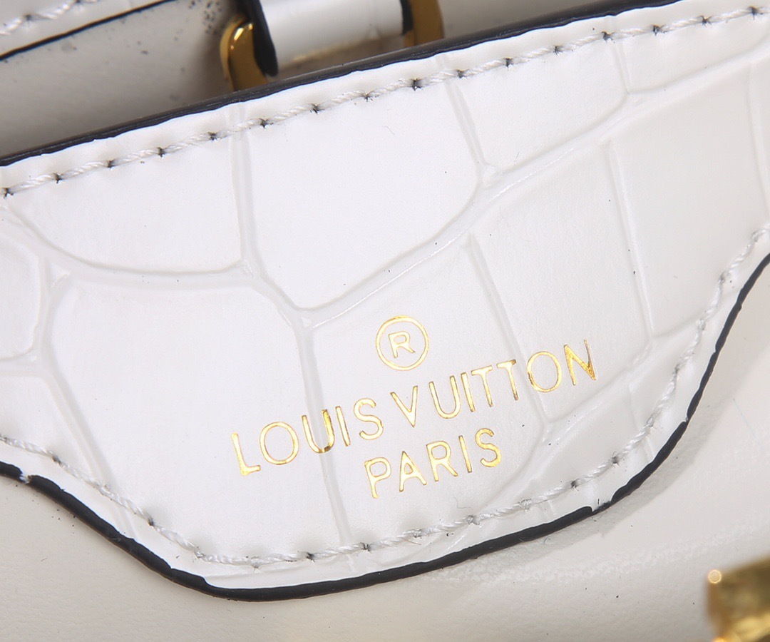 Sac Louis Vuitton