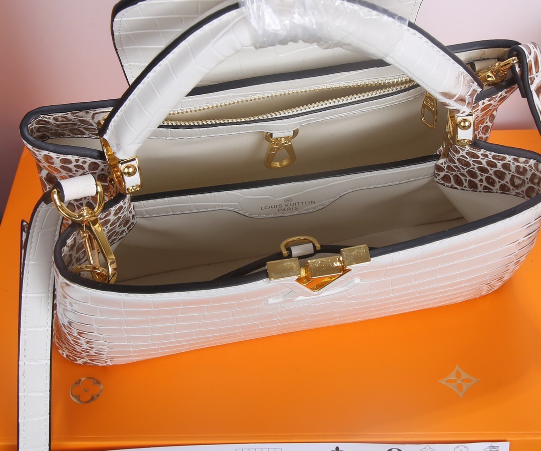 Sac Louis Vuitton