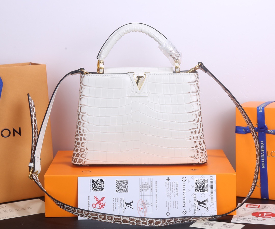 Sac Louis Vuitton