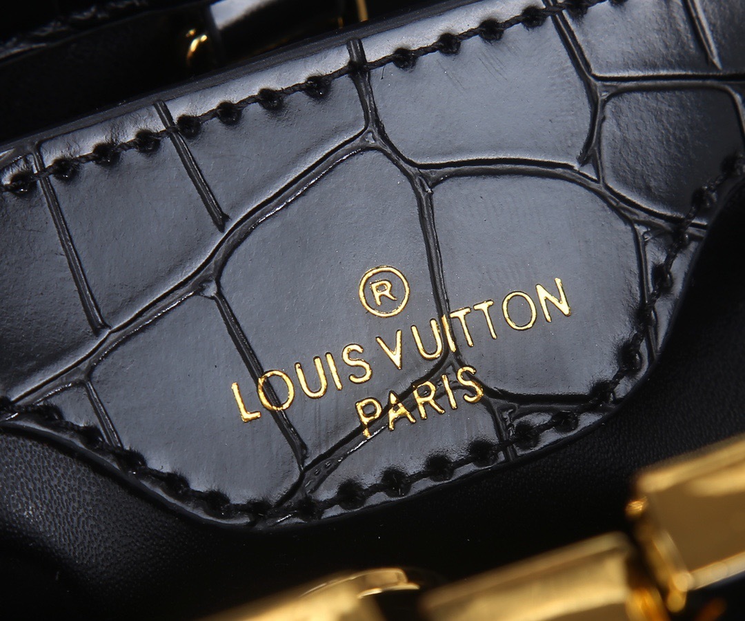 Sac Louis Vuitton