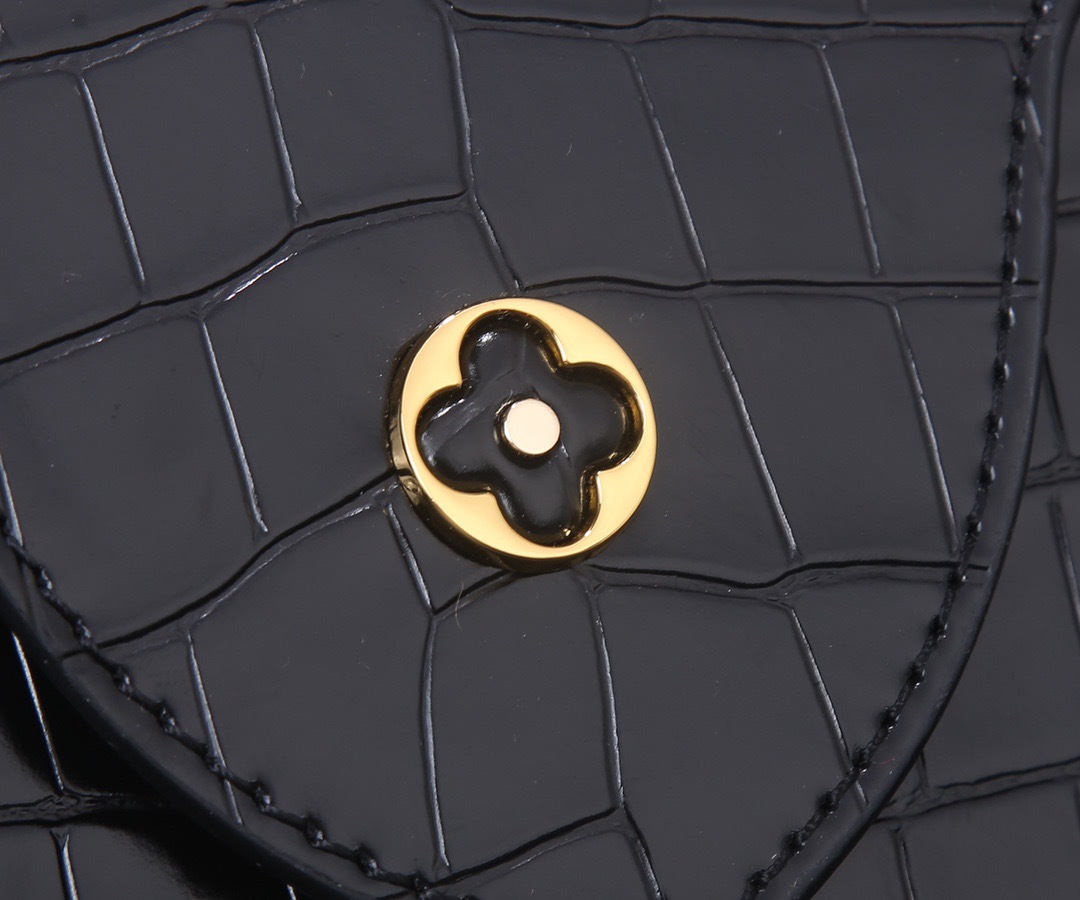 Sac Louis Vuitton